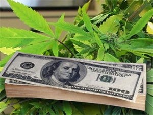 taxing_marijuana