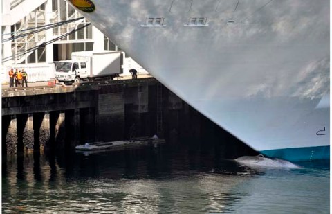 (Jenelle Schneider/Vancouver Sun)